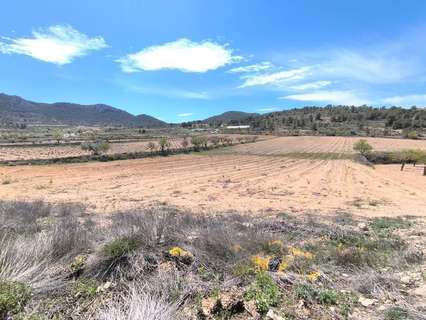 Parcela rústica en venta en Jumilla