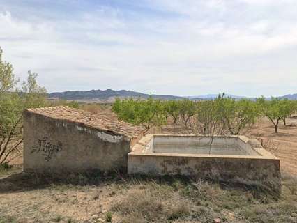 Parcela rústica en venta en Yecla