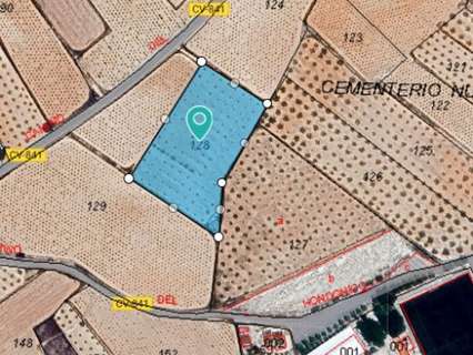 Parcela rústica en venta en Algueña