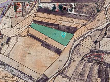 Parcela rústica en venta en Algueña