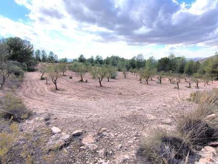 Parcela rústica en venta en Yecla