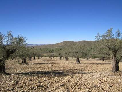 Parcela rústica en venta en Villena