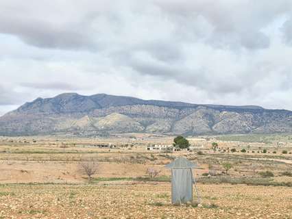 Parcela rústica en venta en Jumilla