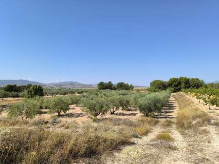 Parcela rústica en venta en Monóvar/Monòver