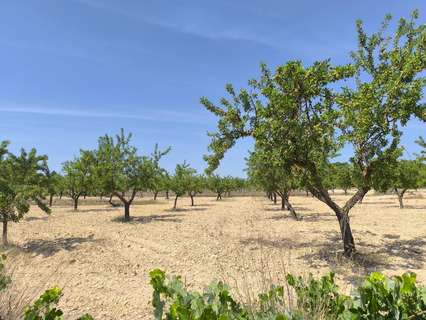 Parcela rústica en venta en Monóvar/Monòver
