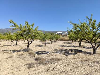 Parcela rústica en venta en Monóvar/Monòver