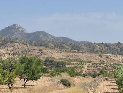 Parcela rústica en venta en Abanilla