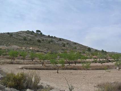 Parcela rústica en venta en Jumilla