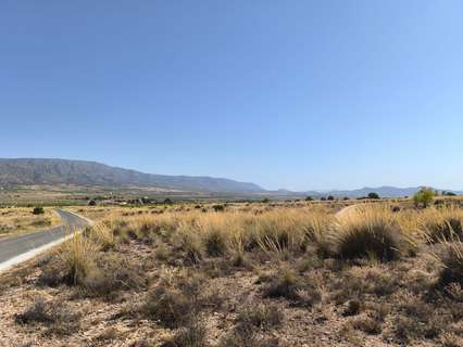 Parcela rústica en venta en El Pinós/Pinoso