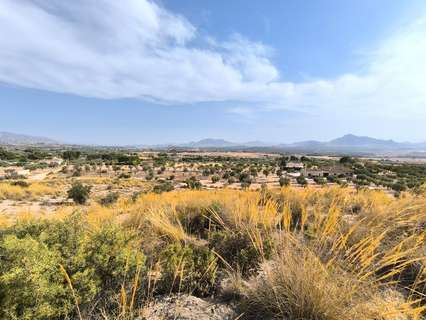 Parcela rústica en venta en Sax