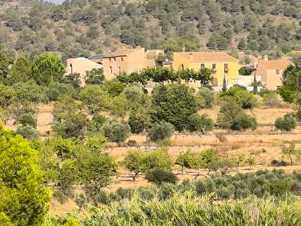 Parcela rústica en venta en El Pinós/Pinoso