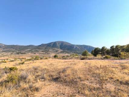 Parcela rústica en venta en Algueña