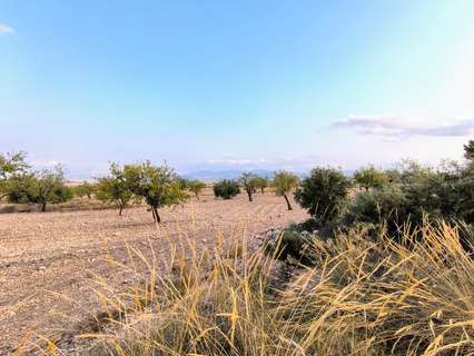 Parcela rústica en venta en El Pinós/Pinoso