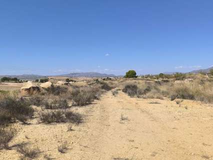 Parcela rústica en venta en Jumilla