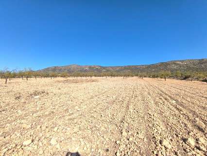 Parcela rústica en venta en El Pinós/Pinoso