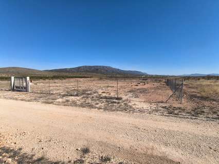 Parcela rústica en venta en El Pinós/Pinoso