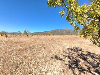 Parcela rústica en venta en Monóvar/Monòver