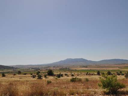 Parcela rústica en venta en El Pinós/Pinoso