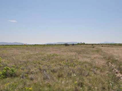 Parcela rústica en venta en El Pinós/Pinoso