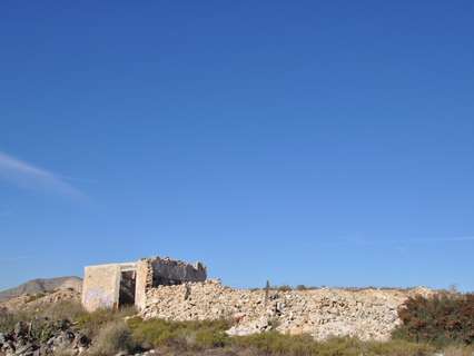 Parcela rústica en venta en Aspe