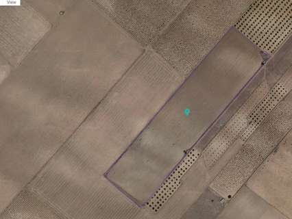 Parcela rústica en venta en Yecla