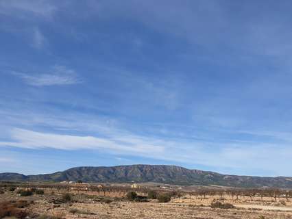 Parcela rústica en venta en El Pinós/Pinoso
