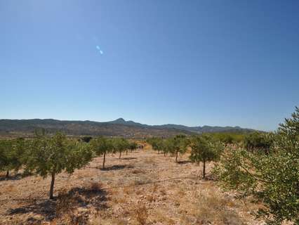 Parcela rústica en venta en Abanilla