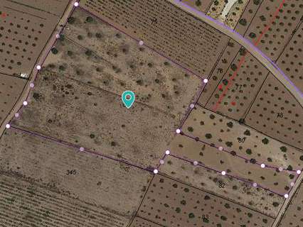 Parcela rústica en venta en El Pinós/Pinoso