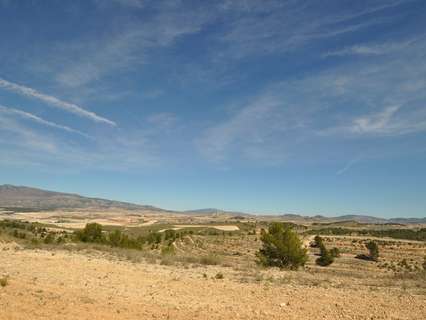 Parcela rústica en venta en Jumilla