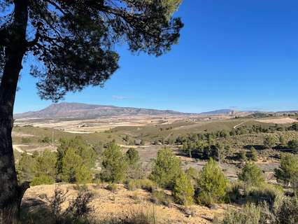 Parcela rústica en venta en Jumilla