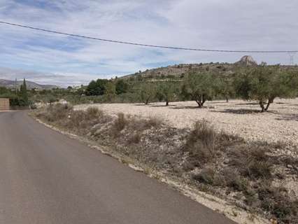 Parcela rústica en venta en Salinas