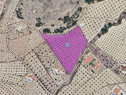 Parcela rústica en venta en Sax