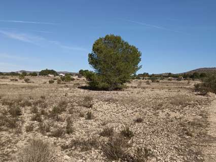Parcela rústica en venta en Salinas