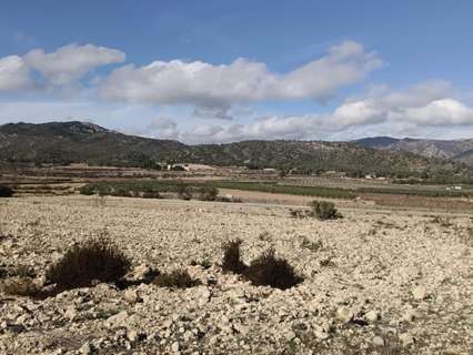 Parcela rústica en venta en Salinas