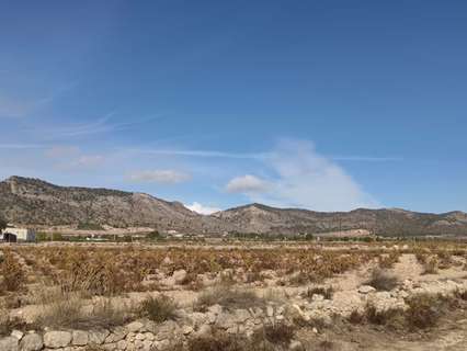 Parcela rústica en venta en Salinas