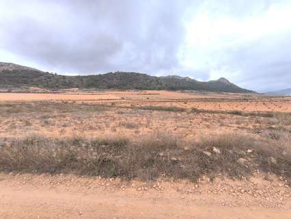 Parcela rústica en venta en El Pinós/Pinoso