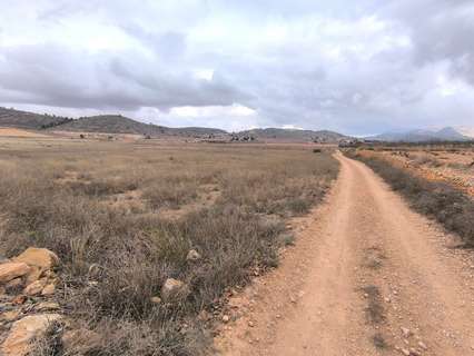 Parcela rústica en venta en El Pinós/Pinoso