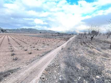 Parcela rústica en venta en El Pinós/Pinoso