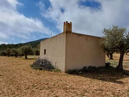 Parcela rústica en venta en Yecla