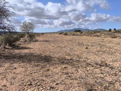 Parcela rústica en venta en El Pinós/Pinoso