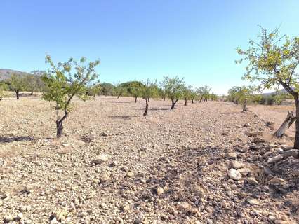 Parcela rústica en venta en Monóvar/Monòver