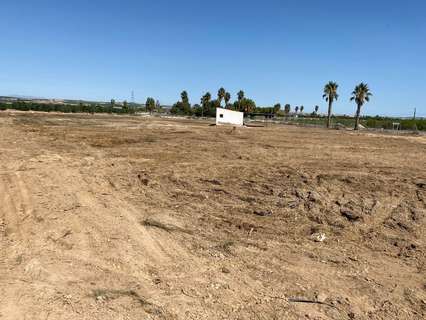 Parcela rústica en venta en San Miguel de Salinas