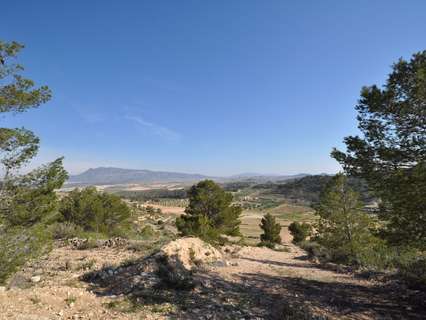 Parcela rústica en venta en Jumilla