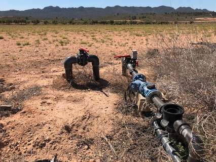 Parcela rústica en venta en Yecla