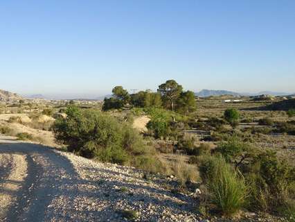Parcela rústica en venta en Abanilla