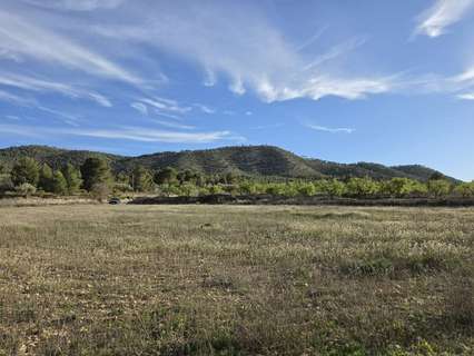Parcela rústica en venta en Monóvar/Monòver