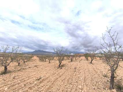 Parcela rústica en venta en Yecla