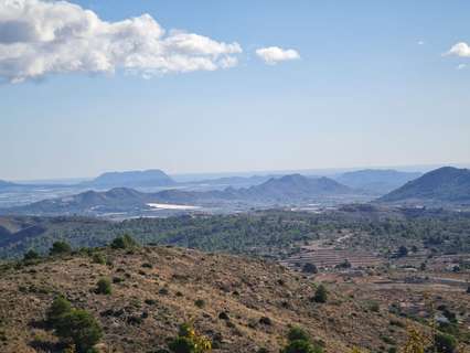 Parcela rústica en venta en La Romana