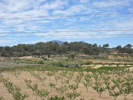 Parcela rústica en venta en Jumilla