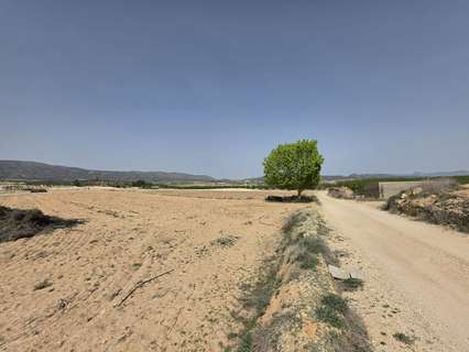 Parcela rústica en venta en El Pinós/Pinoso